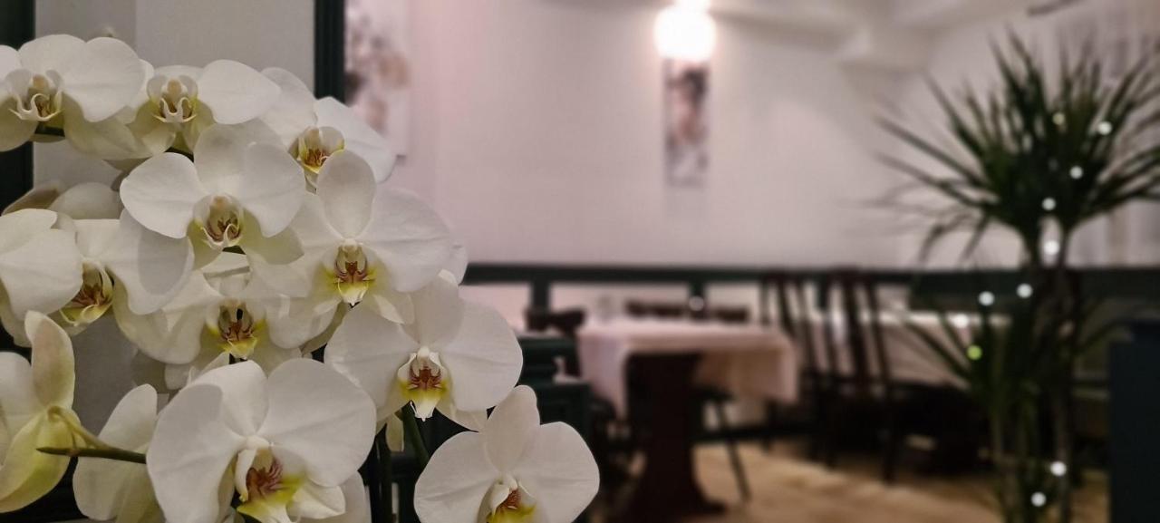 拉姆酒店 斯图加特 外观 照片